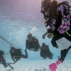Open Water - July 11th