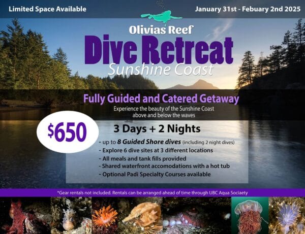 Sunshine Coast Dive Retreat (Jan 31st - Feb 2nd)