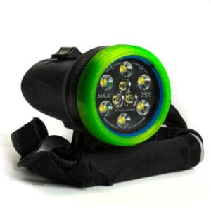 Sola Light Protector | Green