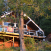 Sunshine Coast Dive Retreat (Jan 31st - Feb 2nd) - Image 2