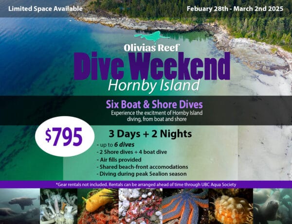 Hornby Island Dive Weekend
