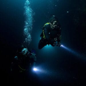 Night Dives - Private