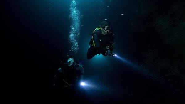 Monthly Night Dive - Feb 8th