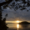Sunshine Coast Dive Retreat (Jan 31st - Feb 2nd) - Image 3