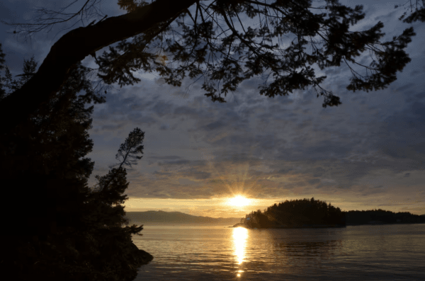 Sunshine Coast Dive Retreat (July 4th - July 6th) - Image 3