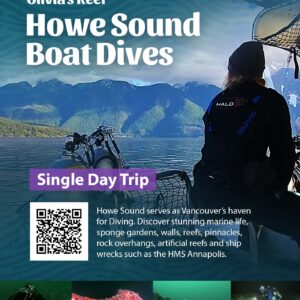 Vancouver-boat-dives-in-Howe-Sound