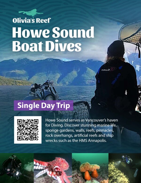 Vancouver-boat-dives-in-Howe-Sound