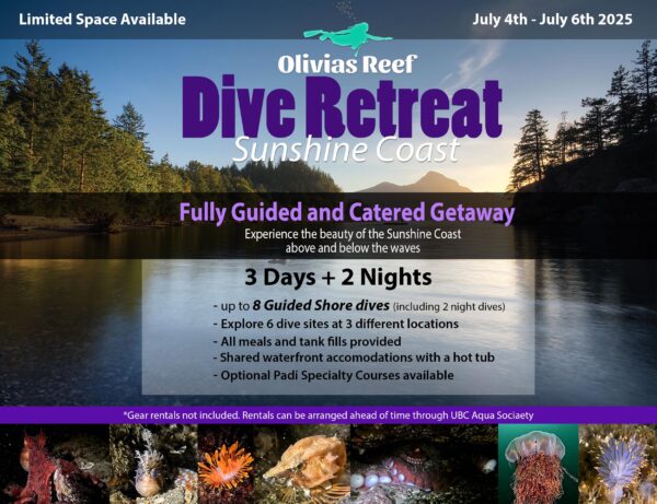 Sunshine Coast Dive Retreat (July 4th - July 6th)