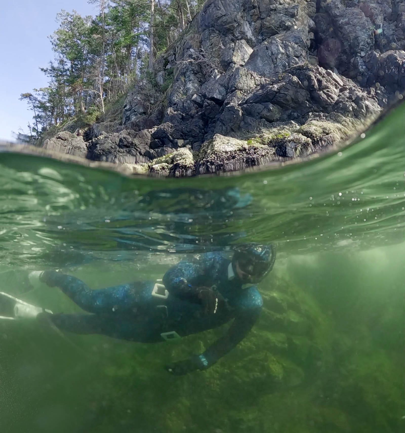 Advanced Snorkeling Adventure in Howe Sound with Olivia's Reef Diving Vancouver.