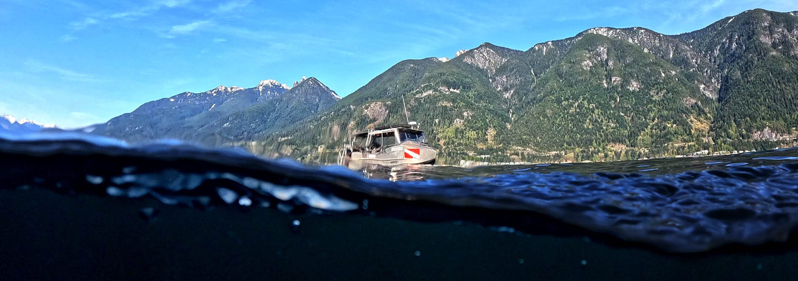 Boat Diving and Snorkeling Adventures with Olivia's Reef around Vancouver BC
