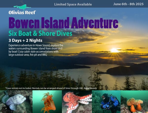 Bowen Island Dive Adventure (June 6th - June 8th)