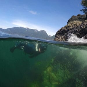 Cold Water Snorkeling in Howe Sound. Skin Diver course with Olivia's Reef Diving Vancouver