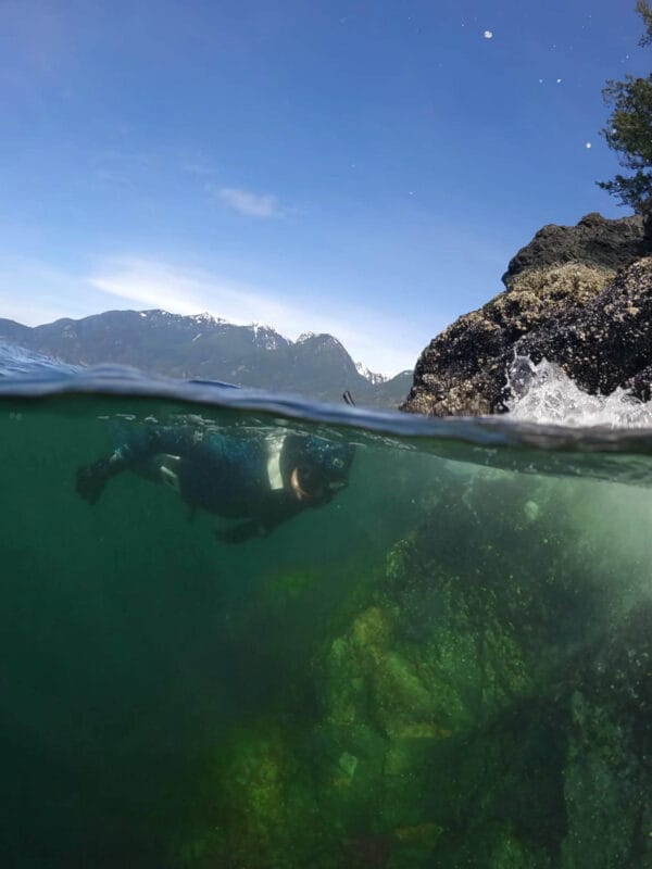 Cold Water Snorkeling in Howe Sound. Skin Diver course with Olivia's Reef Diving Vancouver