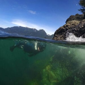 Howe Sound Snorkel Tour