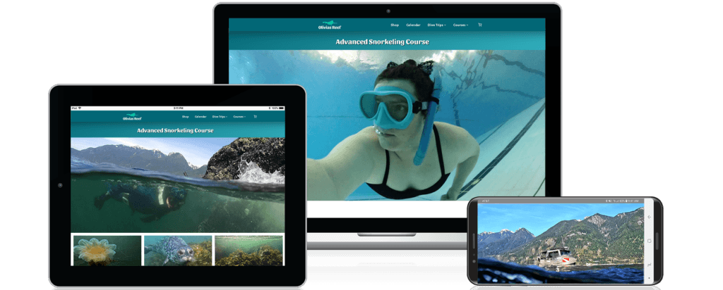 Advanced Snorkeling Course and Adventure with Olivia's Reef Diving Vancouver. E-Learning screens