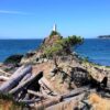 Bowen Island Dive Adventure - Image 2