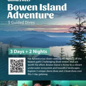 Bowen Island Dive Adventure