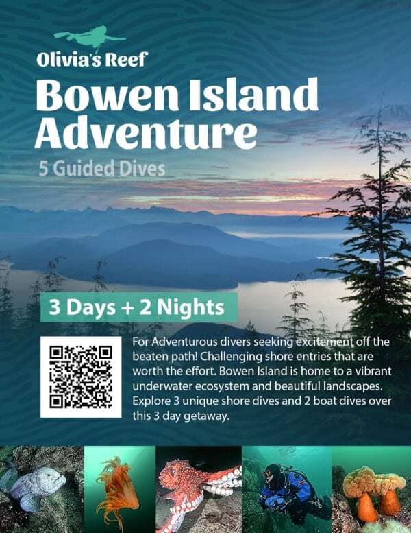 Bowen Island Dive Adventure