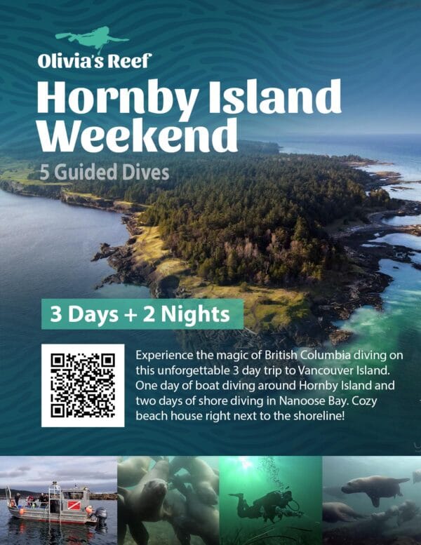 Hornby Island Dive Weekend