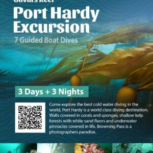 Port Hardy