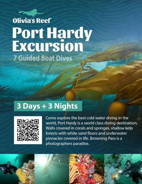 Port Hardy