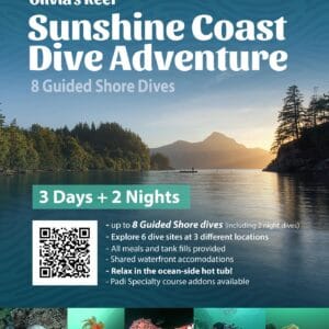 Sunshine Coast Dive Adventure