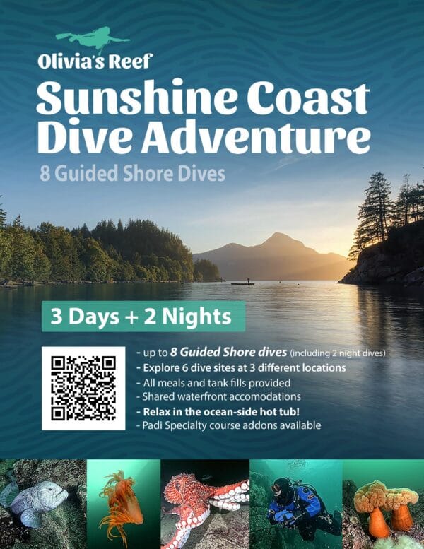 Sunshine Coast Dive Adventure