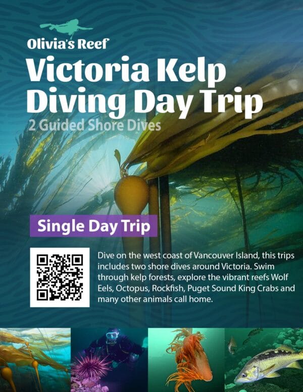 Victoria Day Trip
