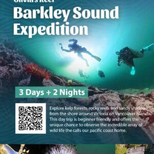 Barkley Sound Dive Expedition