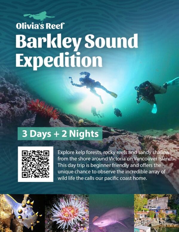 Barkley Sound Dive Expedition