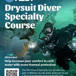 Drysuit Course + Guided dives