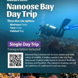 Nanoose Bay Day Trips