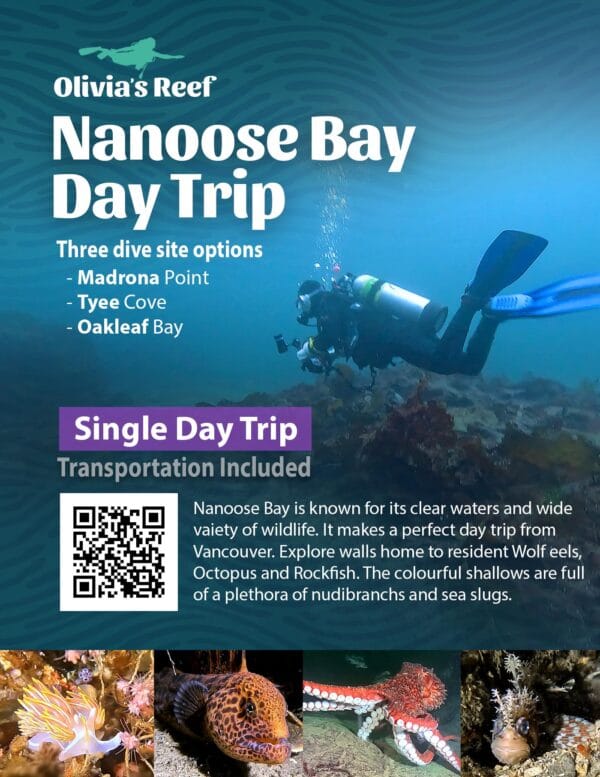 Nanoose Bay Day Trips