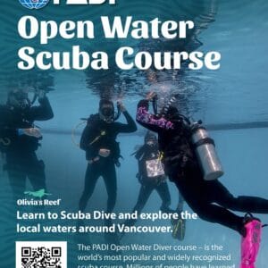 Open Water + Drysuit Course