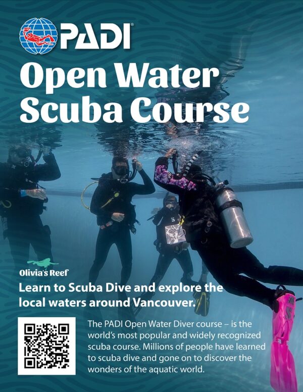 Open Water + Drysuit Course