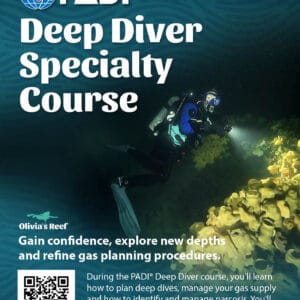 PADI Deep Specialty Course with Boat Dives