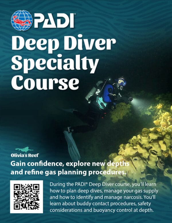 PADI Deep Specialty Course with Boat Dives