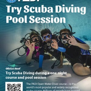 Try Scuba Diving Pool Session