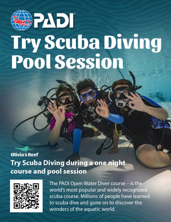 Try Scuba Diving Pool Session