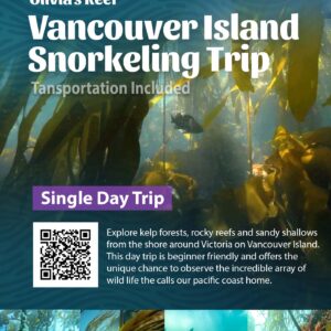 Vancouver Island Snorkel Safari