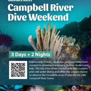 Campbell River Dive Adventure