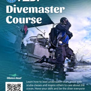 Dive Master Course