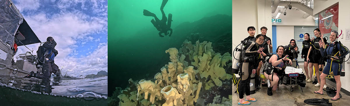 Take your Advanced Open Water Course with Olivia's Reef Diving