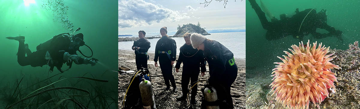 Advanced Open Water Scuba Course in Vancouver with Olivia's Reef