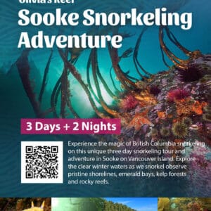 Sooke Snorkeling Adventure