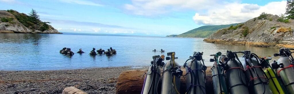 Diver training at Whytecliff park