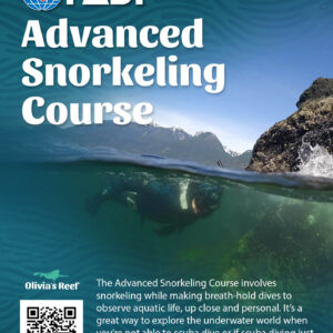 Advanced Snorkeling Course