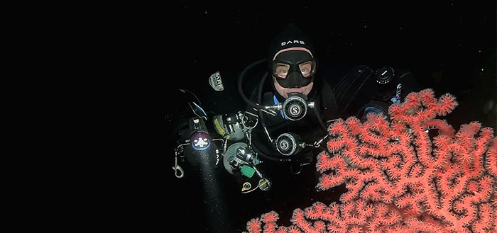 Deep-Dive-Gorgonian-Coral-Event-Banner