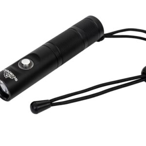 Dive Torch Rental
