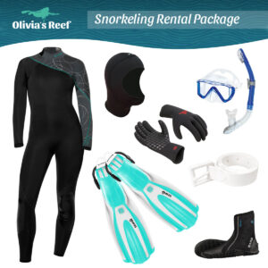 Snorkeling Rental Package